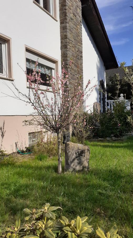Im Vulkanland Fewo Bis 6 Personen Ettringen  Bagian luar foto